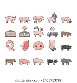 Schweinekoteletts-Hausschweine-Symbole setzen Vektorgrafik. Schweinevieh, Hausbacon, süße Handschweine, landwirtschaftliche Kleinvieh, Schweinefleischzucht, Schweinehaltung, Schweinegrippe, Schweinegrippe, Farblinien-Illustrationen