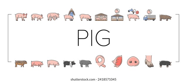 Schweinekoteletts-Hausschweine-Symbole setzen Vektorgrafik. Schweinevieh, Hausbacon, süße Handschweine, landwirtschaftliche Kleinvieh, Schweinefleischzucht, Schweinehaltung, Schweinegrippe, Schweinegrippe, Farblinien-Illustrationen