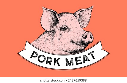 Pork, pig head, meat label. Template Meat Tag Label. Vintage retro print, tag, label with pig sketch ink pencil style drawing. Butchery pork pig head meat shop, text, typography. Vector Illustration