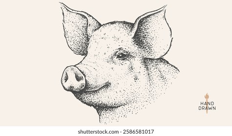 Pork, pig, hog. Hand drawn. Vintage retro print, black white pig head, pork drawing, engrave old school style. Sketch artwork ink pencil style drawing. Butchery, pork pig farm. Vector Illustration