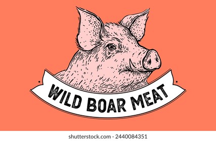 Pork, pig, hog, head, meat tag label. Template Meat Tag Label. Vintage print, tag, label pig sketch ink pencil style drawing. Butchery pork pig head meat shop, text, typography. Vector Illustration