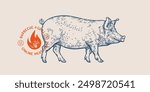 Pork, pig, hog, meat tag label. Template Meat Tag Label. Vintage print, tag, label farm pig sketch ink pencil style drawing. Butchery, pork pig farm, meat shop, text, typography. Vector Illustration