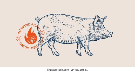 Pork, pig, hog, meat tag label. Template Meat Tag Label. Vintage print, tag, label farm pig sketch ink pencil style drawing. Butchery, pork pig farm, meat shop, text, typography. Vector Illustration