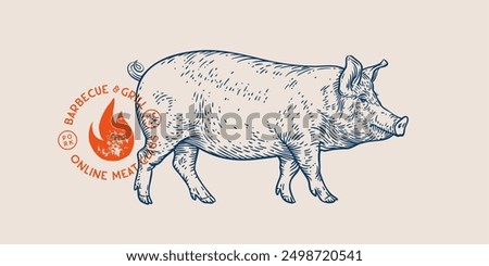 Pork, pig, hog, meat tag label. Template Meat Tag Label. Vintage print, tag, label farm pig sketch ink pencil style drawing. Butchery, pork pig farm, meat shop, text, typography. Vector Illustration