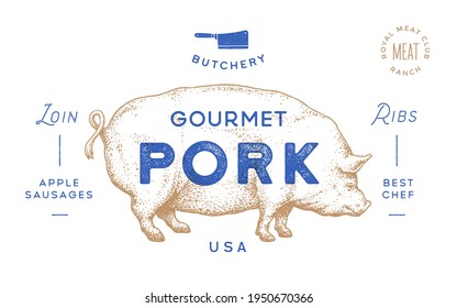 Pork, pig. Template Label. Vintage retro print