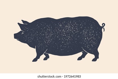 Pork, pig. Vintage retro print, black white pig drawing, grunge old school style. Isolated black silhouette pig on white background. Side view profile. Vector Illustration