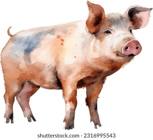 Aquarell-Illustration aus Schweinefleisch. Handgezeichnet Unterwasserelement-Design. Künstlerische Vektorgrafik-Design-Element. Illustration für Grußkarten, Druck und andere Design-Projekte.