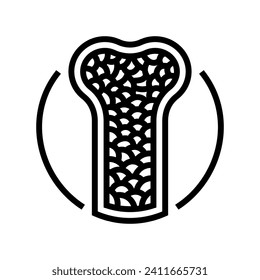 porous bone osteoporosis line icon vector. porous bone osteoporosis sign. isolated contour symbol black illustration