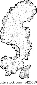 porphyra