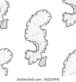 porphyra pattern
