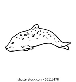 porpoise illustration