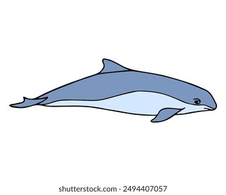 porpoise vector illustration,isolated on white background,top view