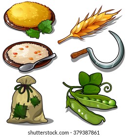 Porridge made from grain. Harvest. Vector illustration.