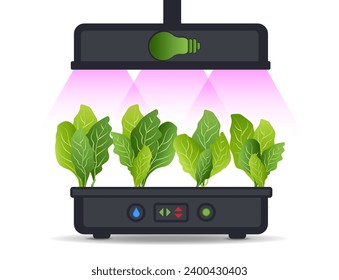 Portable hydroponic aeroponic system for eco-friendly growing of green lettuce, vegetables and herbs. With automatic watering system and purple phyto lighting. Phytolamp