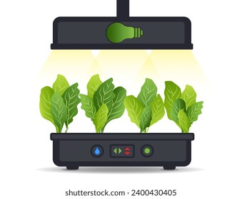 Portable hydroponic aeroponic system for eco-friendly growing of green lettuce, vegetables and herbs. With automatic watering system and phyto lighting. Phytolamp