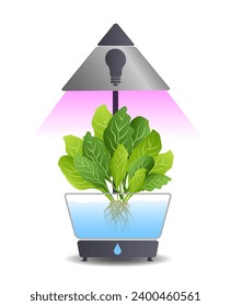 Portable hydroponic aeroponic system for eco-friendly growing of green lettuce, vegetables and herbs. With automatic watering system and purple phyto lighting. Phytolamp