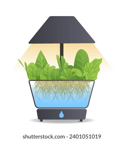 Portable hydroponic aeroponic system for eco-friendly growing of green lettuce, vegetables and herbs. With automatic watering system and phyto lighting. Phytolamp