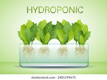 Portable hydroponic aeroponic system for eco-friendly growing of green lettuce, vegetables and herbs. Organic vegetable garden