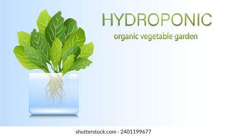 Portable hydroponic aeroponic system for eco-friendly growing of green lettuce, vegetables and herbs. organic vegetable garden