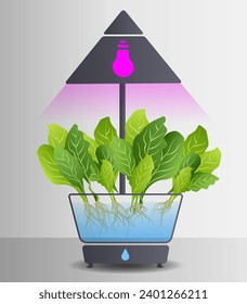 Portable hydroponic aeroponic system for eco-friendly growing of green lettuce, vegetables and herbs. With automatic watering system and purple phyto lighting. Phytolamp. Organic vegetable garden