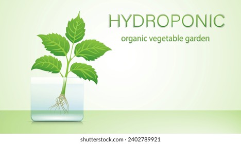 Portable hydroponic aeroponic system for eco-friendly growing of green lettuce, vegetables and herbs. organic vegetable garden