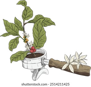 Portafilter com planta de café crescendo lá ilustração colorida