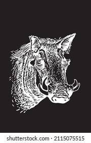 Portait of african wild hog standing isolated on black background  , vector engraved illustration