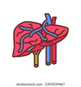 Portal Vein icon in vector. Logotype