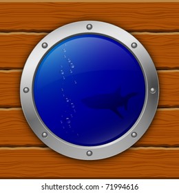 porthole. shark. vector illustration. eps10