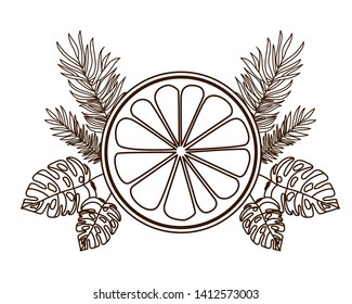 portion of orange in white background