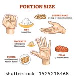 Portion size measurement and calculation for healthy diet outline diagram. Food amount eating control with hand dimension comparison vector illustration. Educational scheme with meal balance and dose.