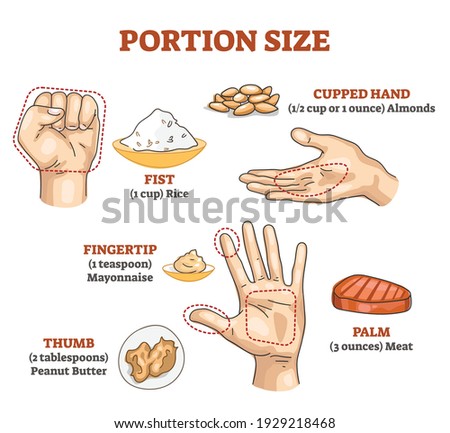 Portion size measurement and calculation for healthy diet outline diagram. Food amount eating control with hand dimension comparison vector illustration. Educational scheme with meal balance and dose. Stock photo © 