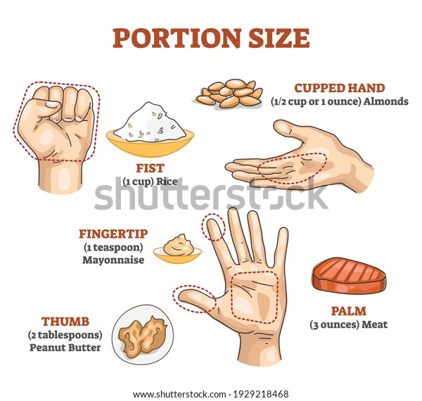 Portion size measurement and calculation for
healthy diet outline diagram. Food amount eating control with hand
dimension comparison vector illustration. Educational scheme with
meal balance and dose.