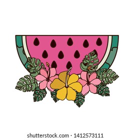 portion of watermelon and white background