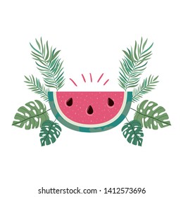 portion of watermelon and white background