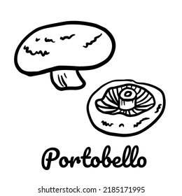 Portobello line icon. Vector mushroom illustration isolated on white background for book, market, restaurant menu, package design.