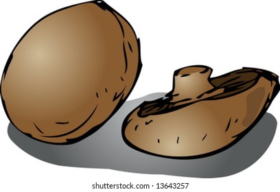Portobello mushroom illustration edible fungus hand-drawn clipart