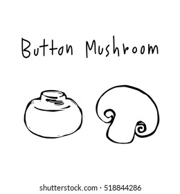 Portobello mushroom. A sliced half of portobello mushroom. Button mushroom. Vector illustration.