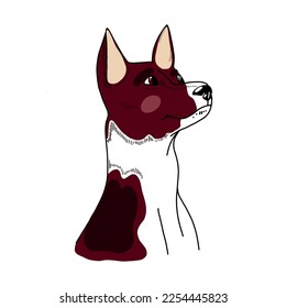 Portrait of an adult basenji dog. Brown with white color. The dog is drawn in vector. For printing, creativity, textiles, books.