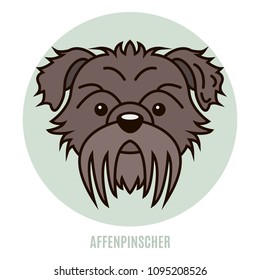 Portrait of Affenpinscher. Vector illustration in style of flat