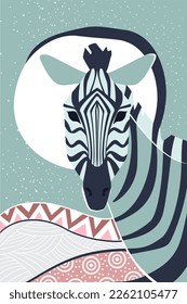 Portrait of african zebra. Wildlife safari fauna, africa animal vector cartoon illustration