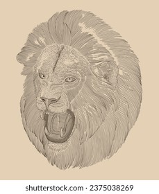 portrait of an aggressive lion head, Vintage engraving drawing style illustration