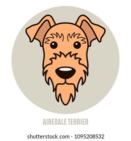 Portrait of Airedale Terrier. Vector illustration in style of flat