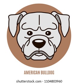 Portrait of American Bulldog. Vector illustration in style of flat