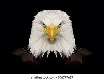 portrait of an American eagle on a black background