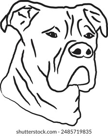 Portrait of American Staffordshire Terrier dog