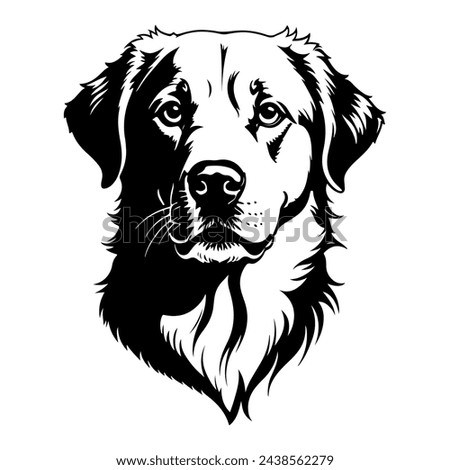 Portrait of a Anatolian Shepherd Dog Vector isolated on white background, Dog Silhouettes.