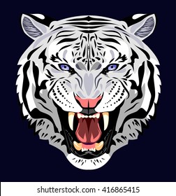 Portrait of an angry tiger bared