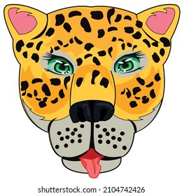 Portrait animal leopard on white background is insulated
