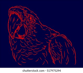 Portrait of Ara parrot prints in the style of (doodle)